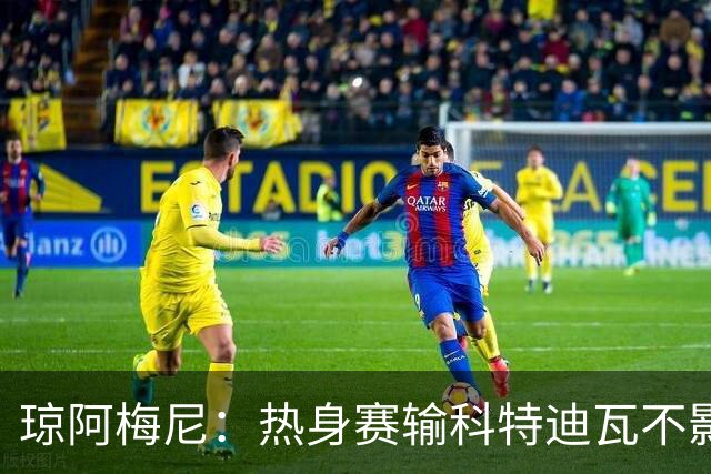 琼阿梅尼：热身赛输科特迪瓦不影响法国，可以说是一次小小的提醒